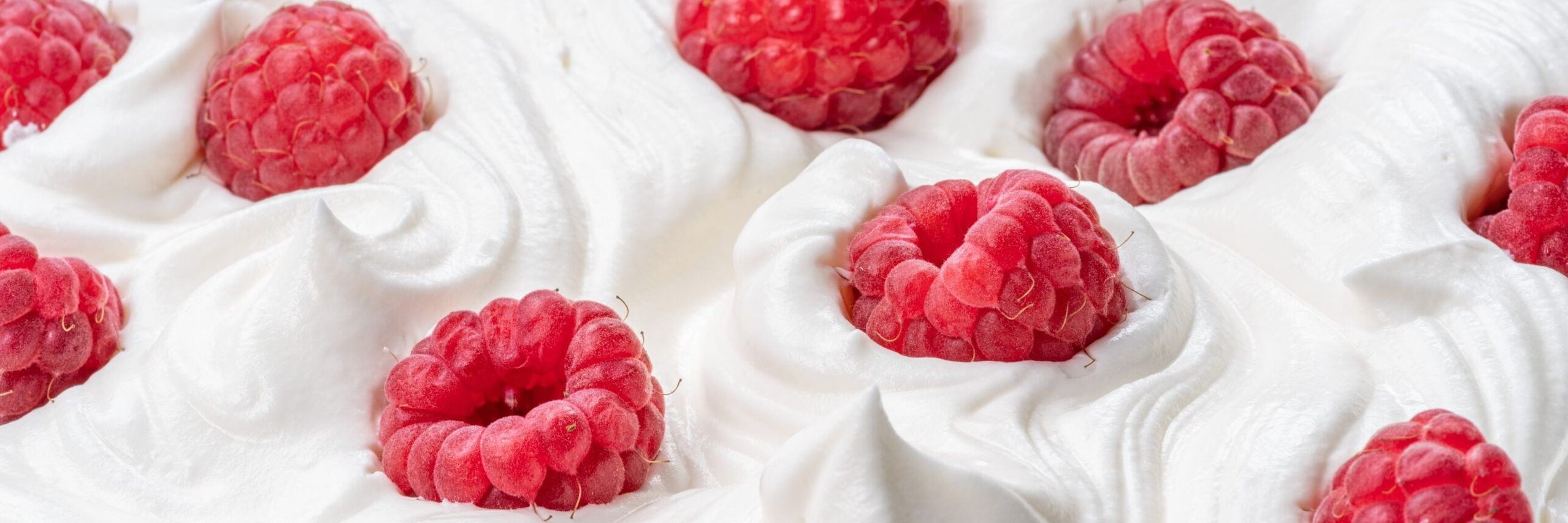 Lebensmittellogistik Himbeeren-Joghurt Transco